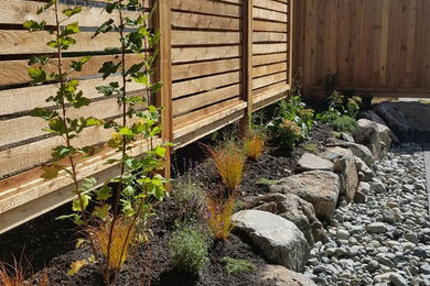 This is an example of a small coastal drought-tolerant and full sun backyard gravel landscaping in Other.