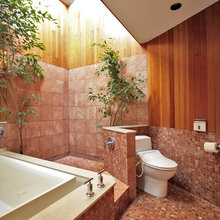 Bathroom no glass