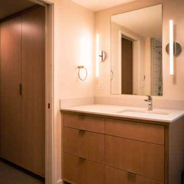 Begun/Weissman Remodel