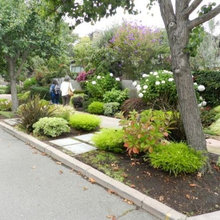 parking strip