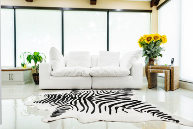 Inspiration for a mid-sized modern sunroom remodel in Miami