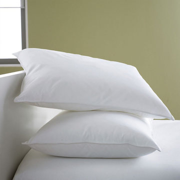 Ryotei Platinum Plus Pillow - (20 X 26) | Standard
