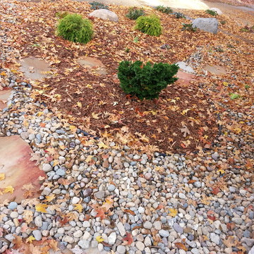 Xeriscaping