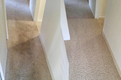 Carpet Cleaning Fort Collins