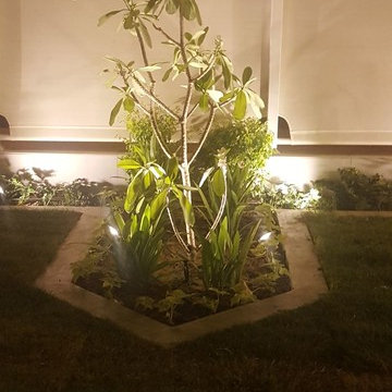Dasma Diwaniya