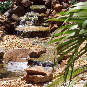Florida Friendly Landscaping