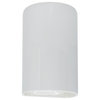 Ambiance Large Cylinder Outdoor Wall Sconce, Closed, Gloss White, LED