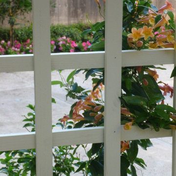 Contemporary grassless landscape in West University