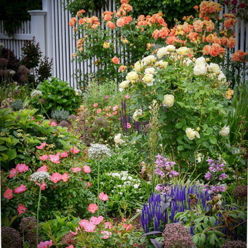 A new garden to love all year long