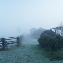 Landscapes