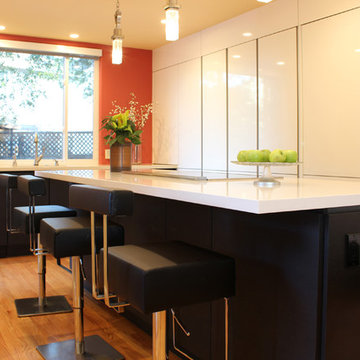 Cupertino kitchen in carbon oak and gloss white cabinets