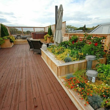 Rooftop Deck in Chicago's Roscoe Village