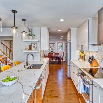 Oakton Contemporary Kitchen Remodel