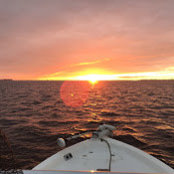 Foto von Bryan S