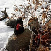 Debra Parton's photo