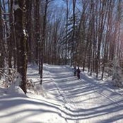 Chrissy Boudreau's photo
