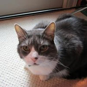 Diana Frey's photo