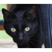 Renee Gentry Gill's photo