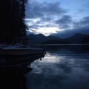 Waylin Nelson's photo
