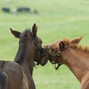 Janice Winterhalter's photo