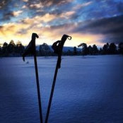 Ingrid Brauten's photo
