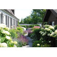 Culliton Quinn Landscape Architecture's profile photo