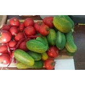 Allen Garay's photo