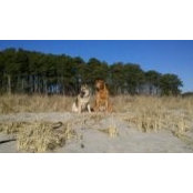 Michael Leary's photo