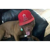 Justin Chasteen's photo