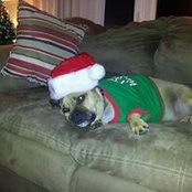 Sandie Cassady's photo