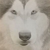 Mikhail Medvedev's photo