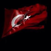 TC Ercan Iskür's photo