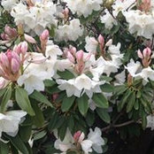 Madeline Herrle's photo