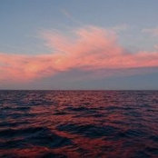 Scott Spargo's photo