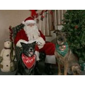 Lisa Roberts's photo