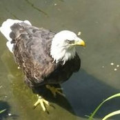 DougandDarlene Keith's photo