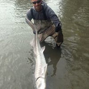 Mario Emond's photo