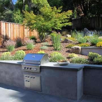 Proctor Terrace Backyard