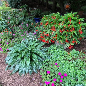 Landscape install & maintenance