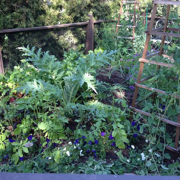 Brentwood Edible Garden