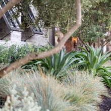 FRONT YARD IDEAS