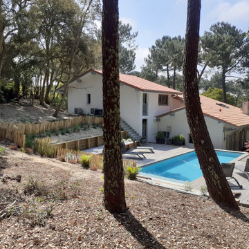 PISCINE SOUS LES PINS