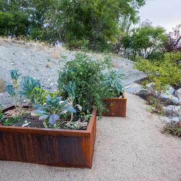 Bird-Friendly Backyard