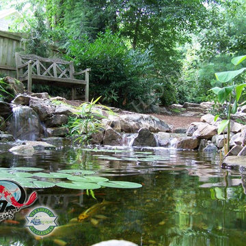 KOI Pond, Backyard Pond & Small Pond Ideas for your Kentucky Landscape