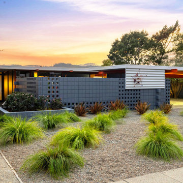 Eichler X-100 For Sale