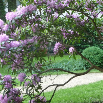 De l'Ombre à la Lumière