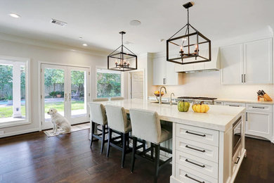 Kitchen photo in Houston