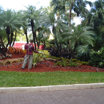 Landscape