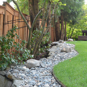 Backyard Rain Garden