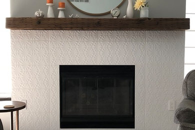 Inspiration for a family room remodel in Other